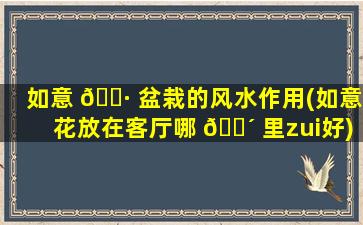如意 🌷 盆栽的风水作用(如意花放在客厅哪 🐴 里zui
好)